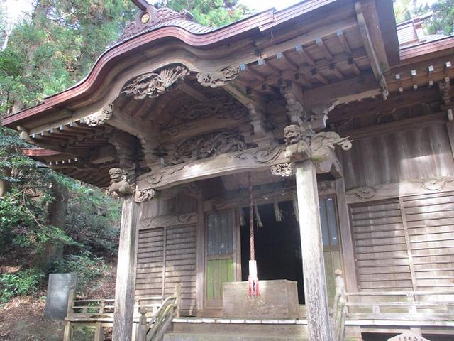 画像10: 12月の山旅会現地集合 「鐘ヶ岳」 ツアーの直前下見報告です