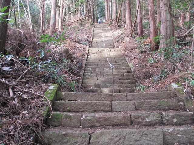 画像9: 12月の山旅会現地集合 「鐘ヶ岳」 ツアーの直前下見報告です