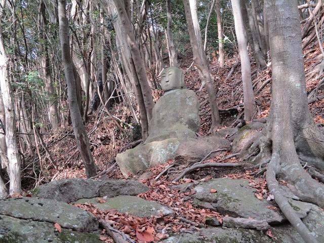 画像6: 12月の山旅会現地集合 「鐘ヶ岳」 ツアーの直前下見報告です