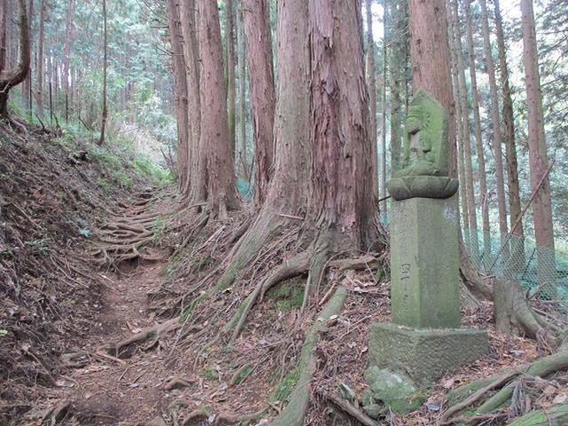 画像4: 12月の山旅会現地集合 「鐘ヶ岳」 ツアーの直前下見報告です