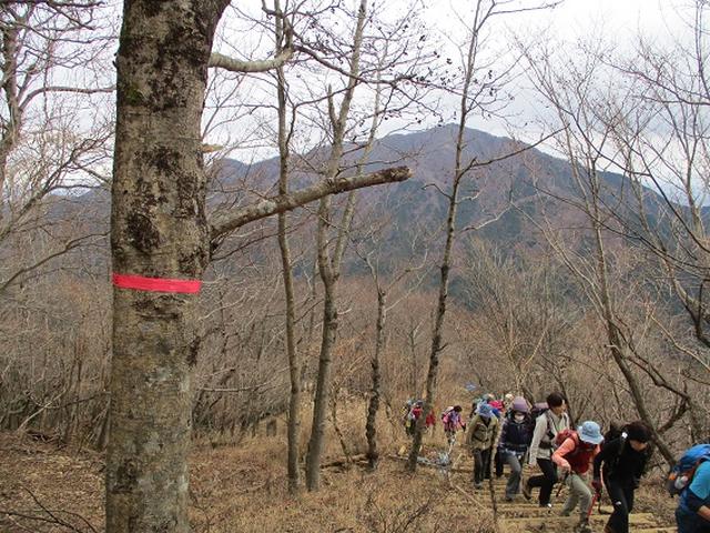 画像1: 先日12月10日に山旅会現地集合 「三ノ塔から三ノ塔尾根」 ツアーにいってまいりました!