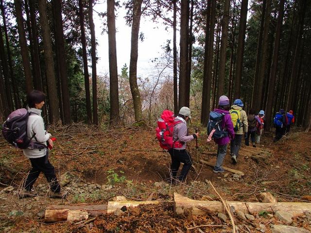 画像6: 先日12月10日に山旅会現地集合 「三ノ塔から三ノ塔尾根」 ツアーにいってまいりました!