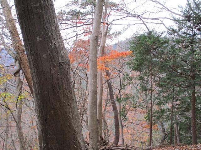 画像7: 先日12月10日に山旅会現地集合 「三ノ塔から三ノ塔尾根」 ツアーにいってまいりました!