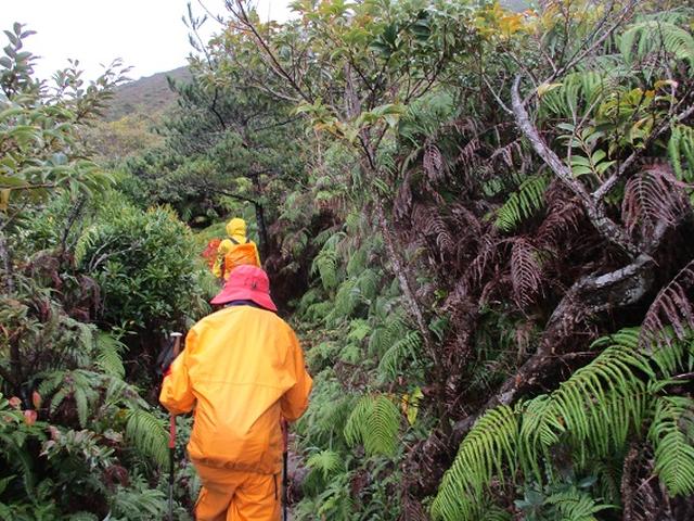 画像11: 先日12月11日より 山旅会 「神津島」 ツアーに いってまいりました!