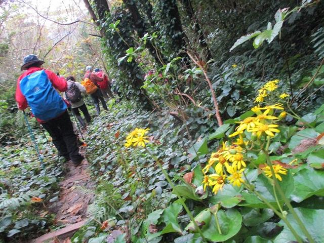 画像8: 先日12月11日より山旅会 「神津島」 ツアーに いってまいりました!