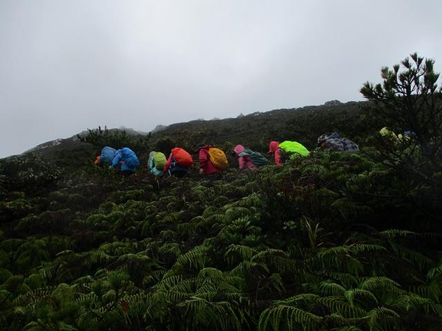 画像6: 先日12月11日より 山旅会 「神津島」 ツアーに いってまいりました!