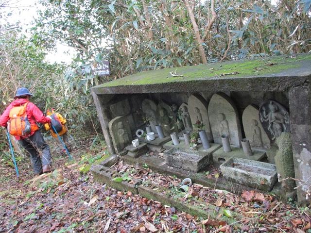 画像6: 12月11日より山旅会 「神津島」 ツアーに いってまいりました!