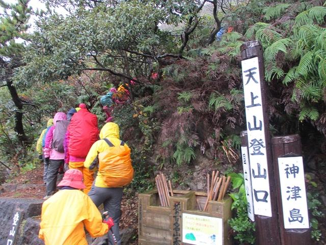 画像5: 先日12月11日より 山旅会 「神津島」 ツアーに いってまいりました!