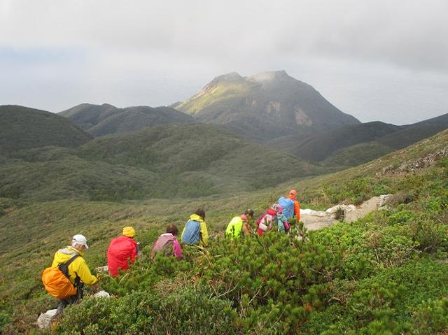 画像4: 先日12月11日より山旅会 「神津島」 ツアーに いってまいりました!