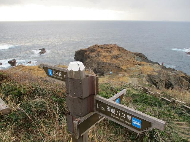 画像4: 12月の山旅会 「須崎遊歩道」 ツアーの直前下見報告です