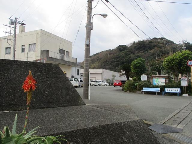 画像1: 12月の山旅会 「須崎遊歩道」 ツアーの直前下見報告です