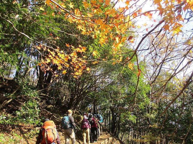 画像3: 添乗員からの便り・鐘ヶ岳ツアーにいってまいりました!