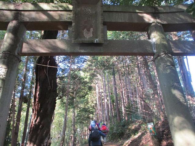 画像2: 添乗員からの便り・鐘ヶ岳ツアーにいってまいりました!