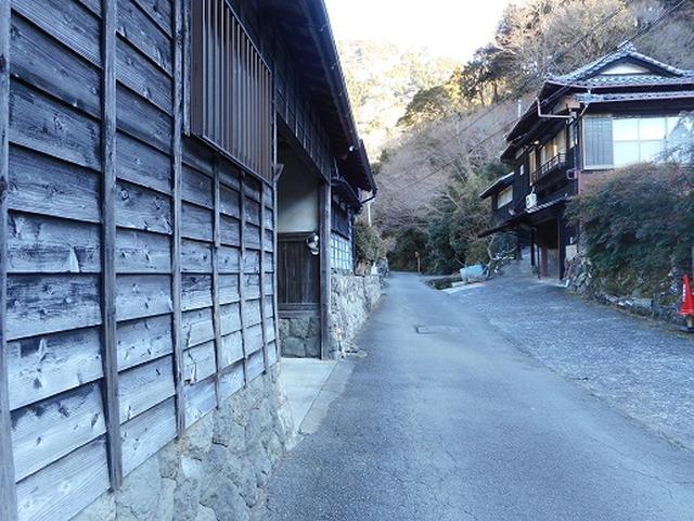 画像2: 岡田ガイドからの便り・満観峰ツアーのご案内