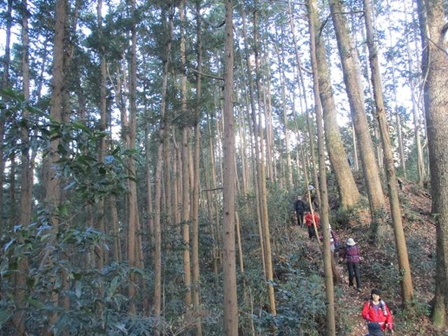 画像9: 岡田ガイドからの便り・戸倉城山ツアーにいってまいりました!
