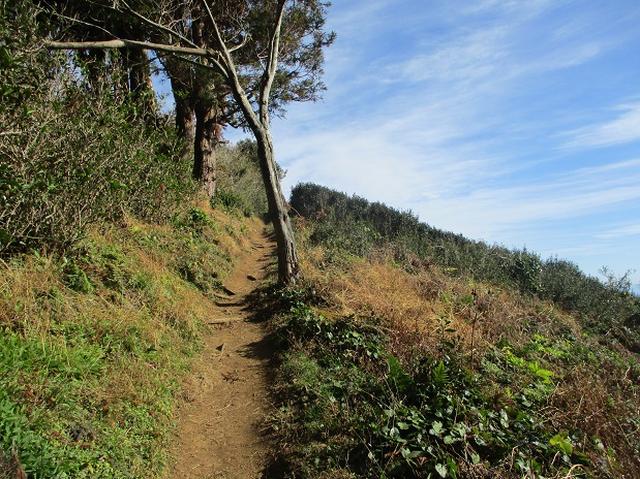 画像6: 岡田ガイドからの便り・満観峰ツアーのご案内