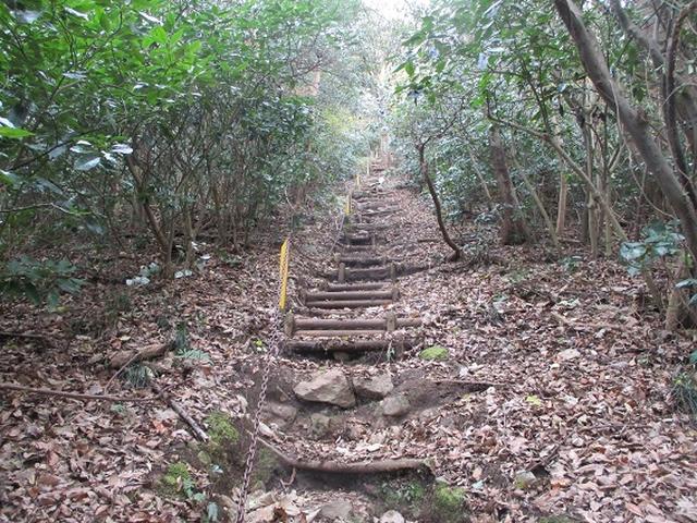 画像8: 静岡県の沼津アルプスを歩いてきました。