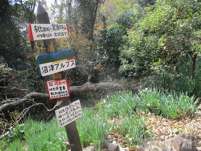 画像18: 静岡県の沼津アルプスを歩いてきました。
