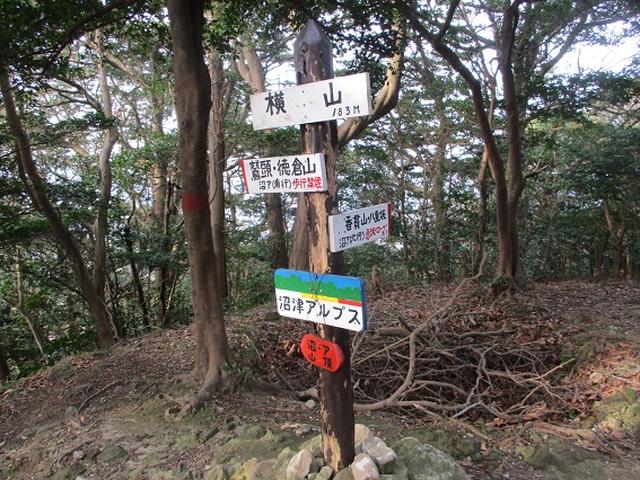 画像7: 静岡県の沼津アルプスを歩いてきました。