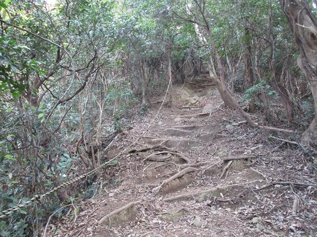 画像6: 静岡県の沼津アルプスを歩いてきました。