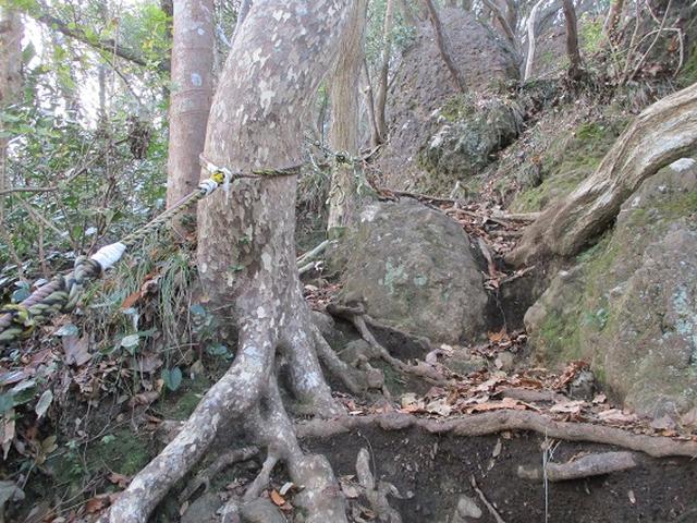 画像14: 静岡県の沼津アルプスを歩いてきました。