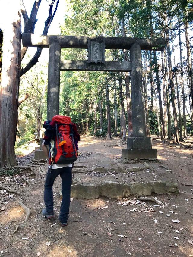 画像: 山道の中に突然現れる鳥居。