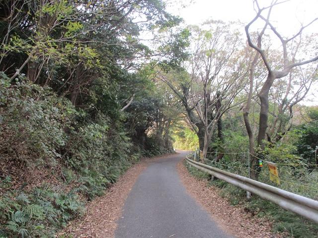 画像5: 静岡県の沼津アルプスを歩いてきました。