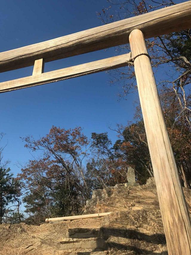 画像: 鳥居。この奥にお社があります。