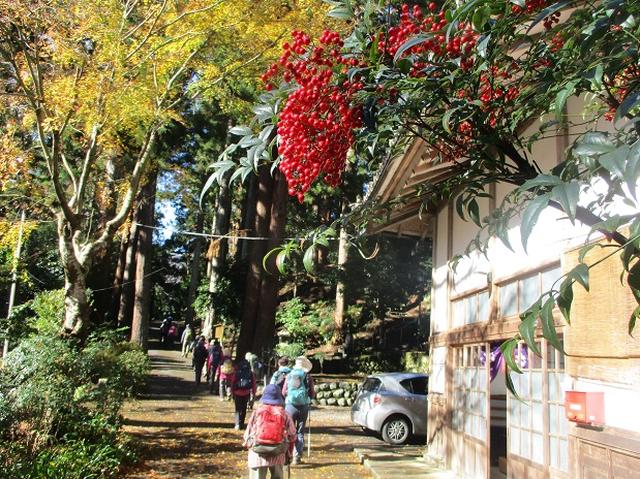 画像5: 先日12月17日に岡田ガイドのコースで山旅会 「身延山」 ツアーにいってまいりました!