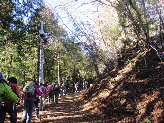 画像9: 先日12月17日に岡田ガイドのコースで山旅会 「身延山」 ツアーにいってまいりました!