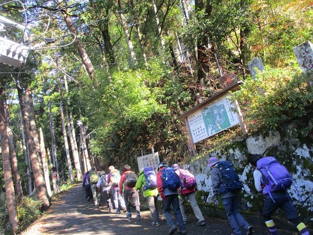 画像3: 先日12月17日に岡田ガイドのコースで山旅会 「身延山」 ツアーにいってまいりました!