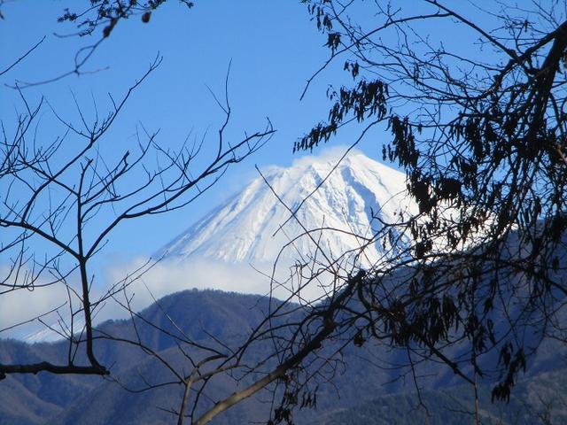 画像10: 先日12月17日に岡田ガイドのコースで山旅会 「身延山」 ツアーにいってまいりました!