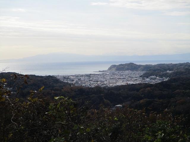 画像8: 先日12月22日に山旅会現地集合 「能見堂緑地から天園」 ツアーにいってまいりました!