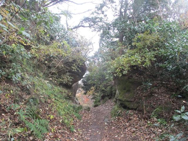 画像7: 先日12月22日に山旅会現地集合 「能見堂緑地から天園」 ツアーにいってまいりました!