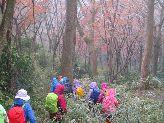 画像9: 先日12月22日に山旅会現地集合 「能見堂緑地から天園」 ツアーにいってまいりました!