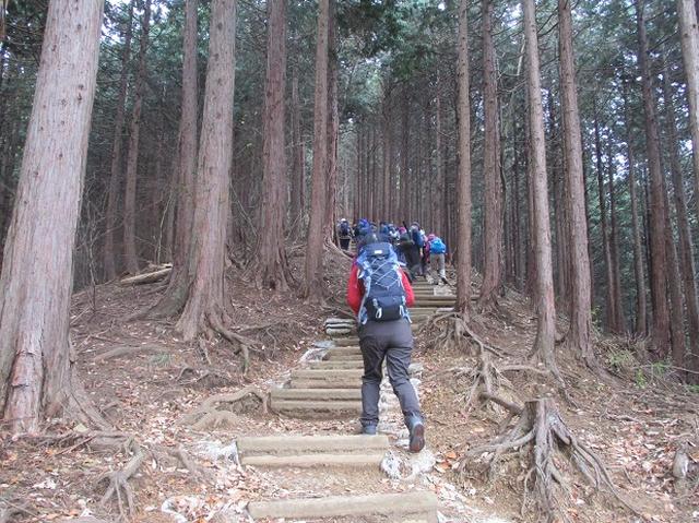 画像4: 【山旅会・登山ガイドこだわりツアー】岡田ガイドからの便り・石老山ツアーにいってまいりました!