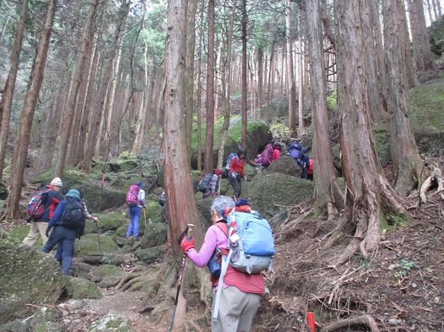 画像2: 【山旅会・登山ガイドこだわりツアー】岡田ガイドからの便り・石老山ツアーにいってまいりました!