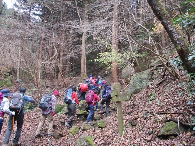 画像1: 【山旅会・登山ガイドこだわりツアー】岡田ガイドからの便り・石老山ツアーにいってまいりました!