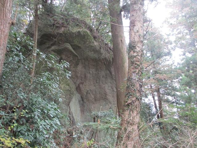 画像7: 【山旅会・登山ガイドこだわりツアー】岡田ガイドからの便り・石老山ツアーにいってまいりました!