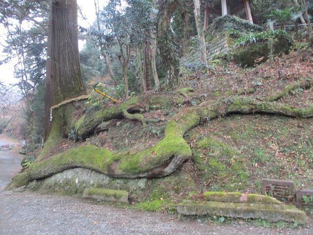 画像8: 【山旅会・登山ガイドこだわりツアー】岡田ガイドからの便り・石老山ツアーにいってまいりました!