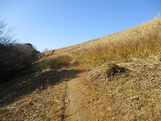 画像3: 本日は ツアー2日目に登る 秋吉台龍護峰 のご報告です