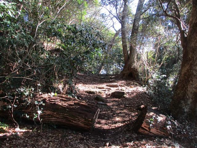 画像13: 1月の山旅会 「宮島弥山・秋吉台龍護峰・萩笠山」 の下見にいってまいりました!