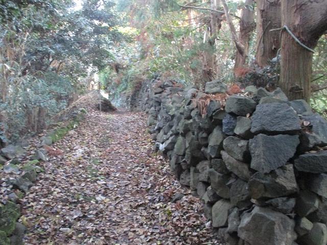 画像5: 1月の山旅会 「宮島弥山・秋吉台龍護峰・萩笠山」 の下見にいってまいりました!
