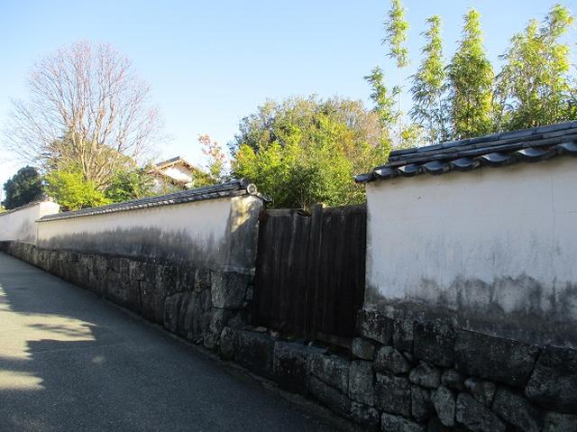 画像10: 1月の山旅会 「宮島弥山・秋吉台龍護峰・萩笠山」 の下見にいってまいりました!