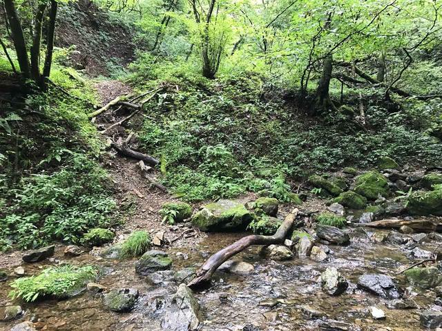 画像: 【御岳山・ロックガーデン】緑の匂いと水のせせらぎが今でも蘇ってきます