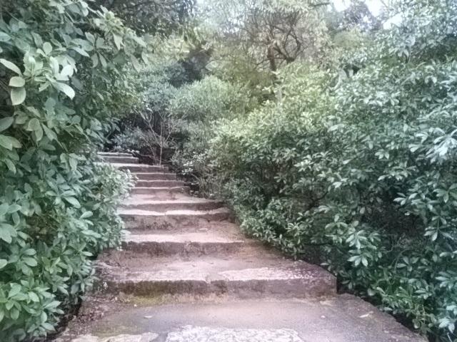 画像4: 1月の山旅会 「宮島弥山・秋吉台龍護峰・萩笠山」 ツアーの下見にいってまいりました!