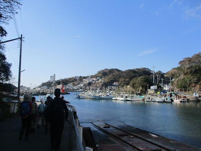 画像1: 12月27日に岡田ガイドのコースで山旅会ハイキング 「須崎遊歩道」 にいってまいりました!