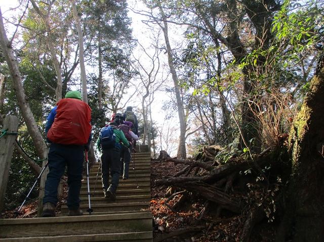 画像3: 先日12月21日に岡田ガイドのコースで 「高尾山」 へ行ってきました!
