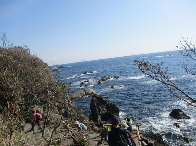 画像3: 12月27日に岡田ガイドのコースで山旅会ハイキング 「須崎遊歩道」 にいってまいりました!