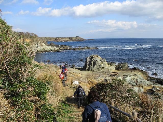 画像5: 12月27日に岡田ガイドのコースで山旅会ハイキング 「須崎遊歩道」 にいってまいりました!